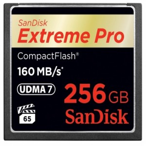 Thẻ nhớ CF Sandisk 256GB 1067x 160MB/s